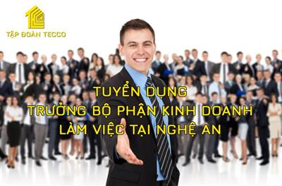 Tập đoàn tecco chi nhánh Nghệ An Tuyển Dụng